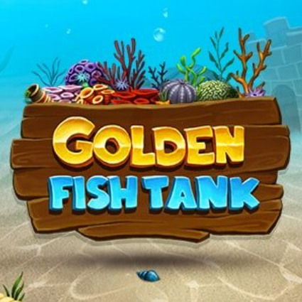 golden fish tank